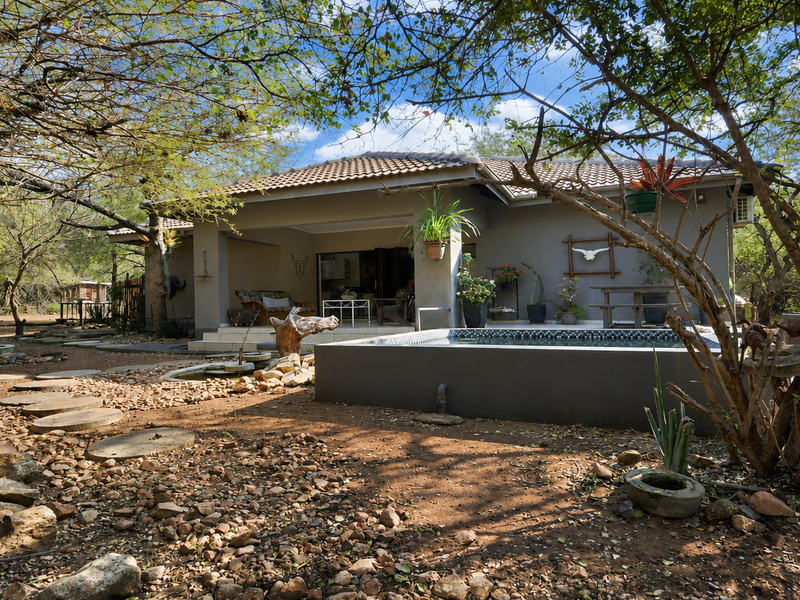 Rear view of the house featuring a covered patio area and a private plunge pool set within a natural garden landscape.