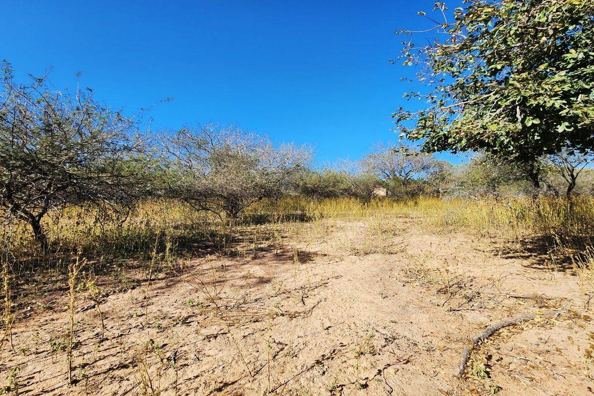 A view of the vacant residential land featuring natural vegetation and established trees under a clear blue sky.