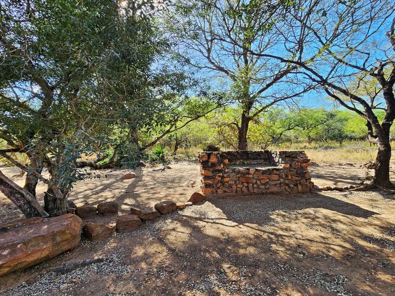 A natural garden setting featuring mature trees and a rustic stone-built outdoor braai area.