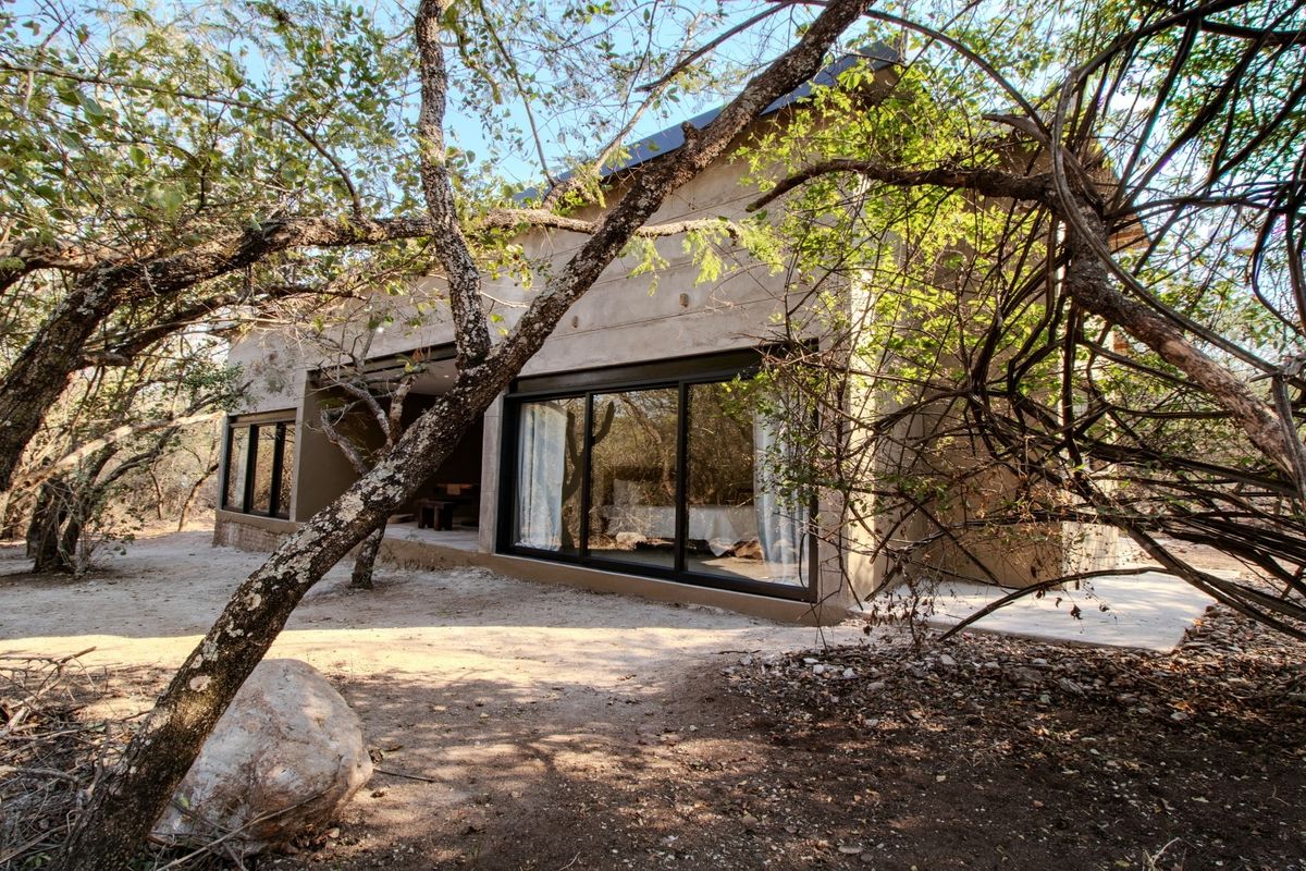 Rear view of a modern home featuring large sliding glass doors, a concrete patio, and a metal roof, nestled in a natural wooded setting.