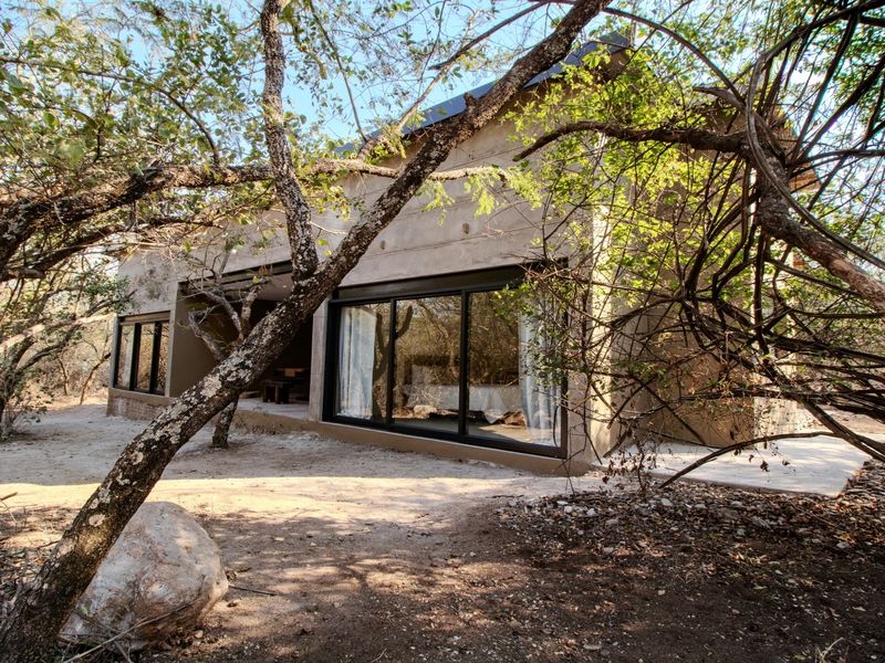 Rear view of a modern home featuring large sliding glass doors, a concrete patio, and a metal roof, nestled in a natural wooded setting.