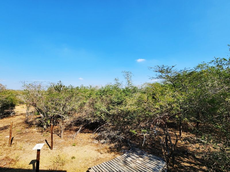 A scenic outdoor view overlooking natural bushveld vegetation with a small wooden deck area in the foreground.