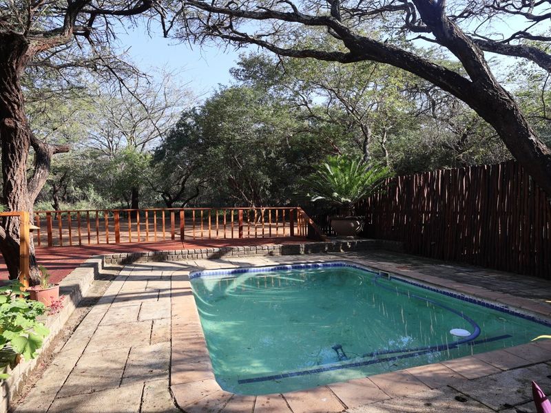 Outdoor pool area featuring a swimming pool, paved surround, and an elevated wooden deck with a timber balustrade, set within a natural bushveld environment.