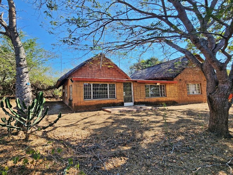 Front view of a single-story house featuring a thatched roof, brick exterior, and security-barred windows, set within a natural, unlandscaped garden area.