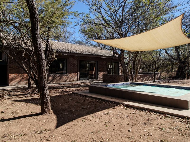 Outdoor pool area featuring a raised swimming pool with a shade sail, set against a brick house exterior in a natural, wooded environment.