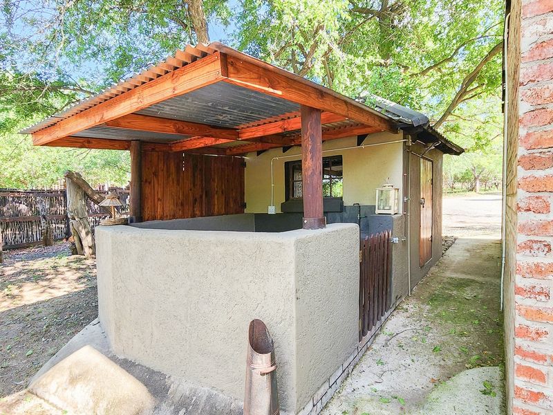 A rustic outdoor covered patio area featuring a corrugated roof, timber supports, and a plastered masonry wall, set within a garden environment.
