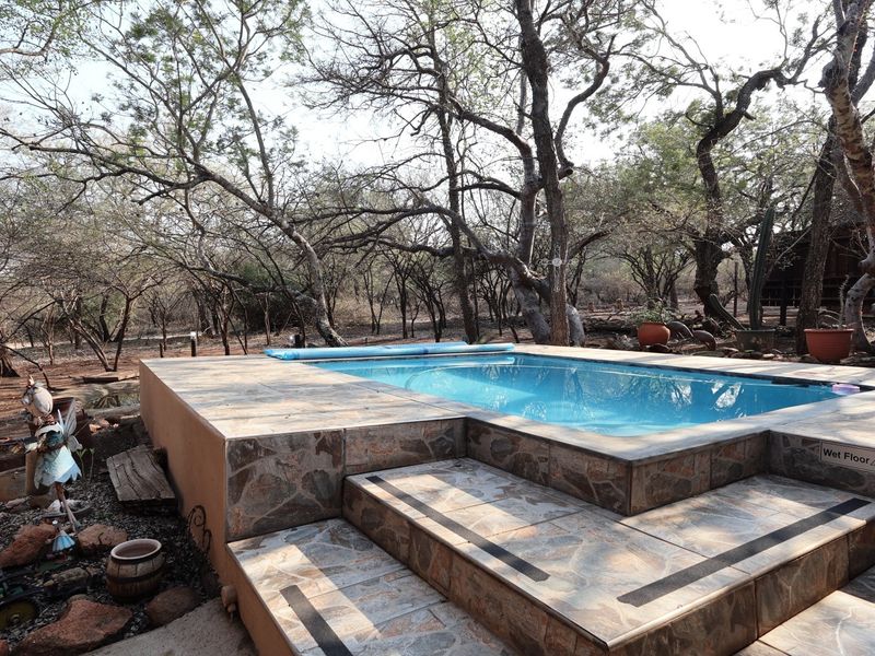 A raised swimming pool featuring stone-tiled surrounds and steps, set within a natural, wooded outdoor environment.