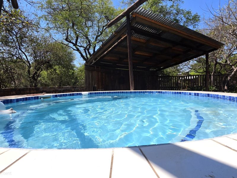 A circular swimming pool featuring a tiled surround and an adjacent timber-framed pergola with a corrugated metal roof, set in a natural garden environment.
