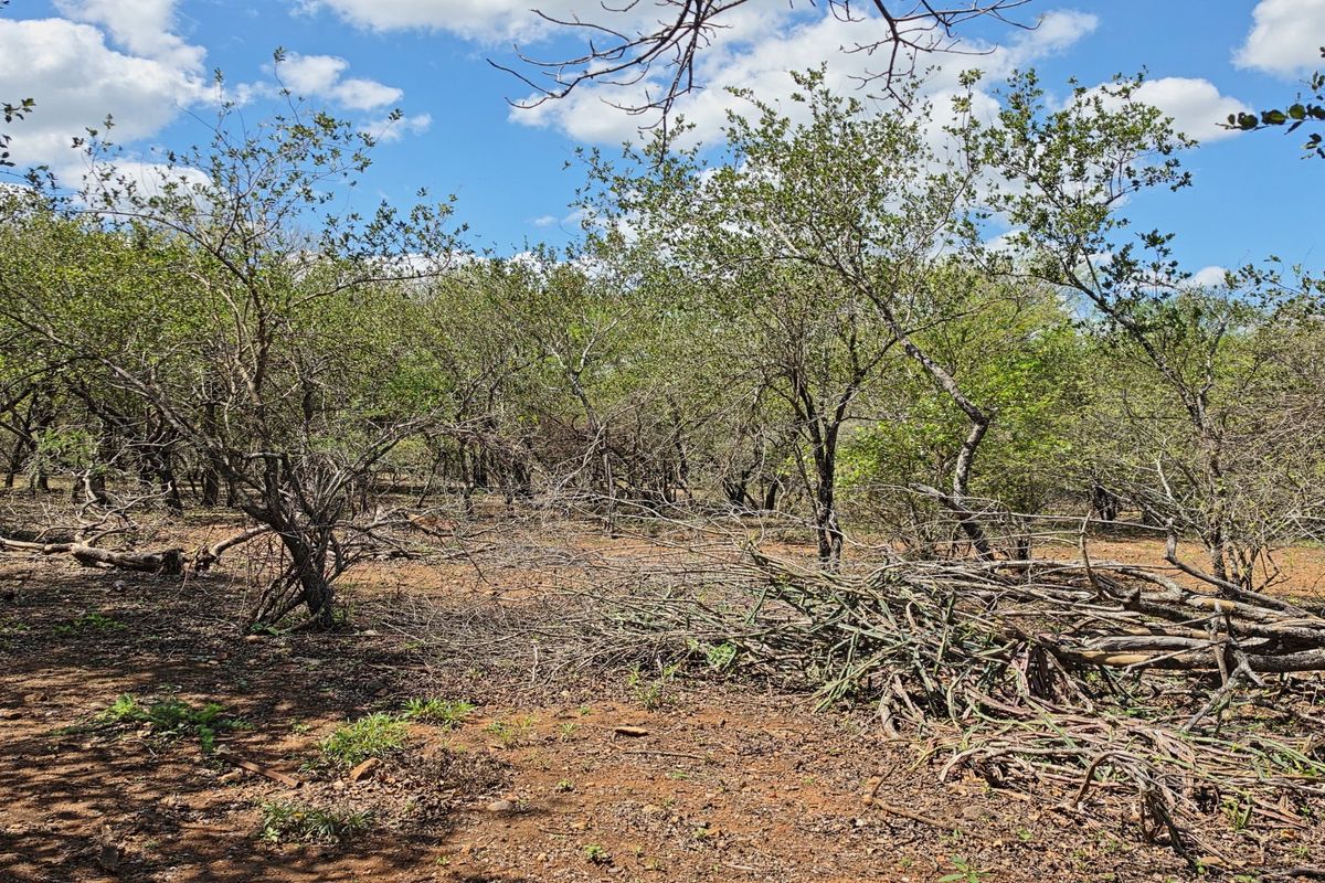 A view of the vacant residential land featuring natural vegetation and cleared ground, suitable for development.