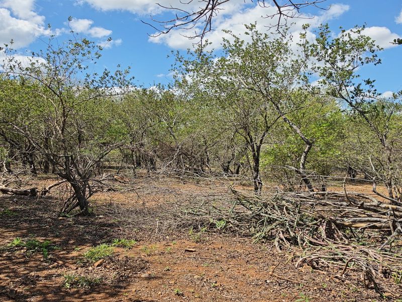 A view of the vacant residential land featuring natural vegetation and cleared ground, suitable for development.