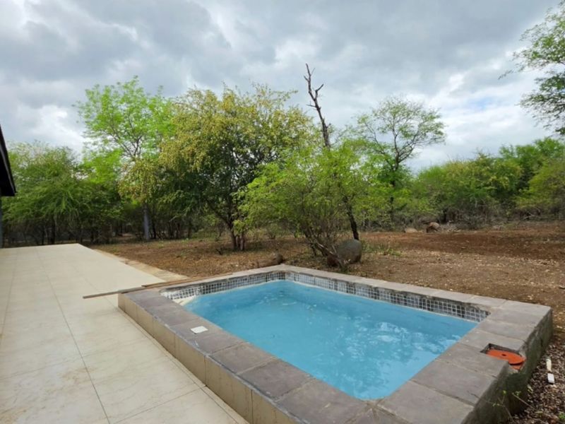 A small plunge pool set on a tiled patio area, overlooking a natural bushveld garden setting.