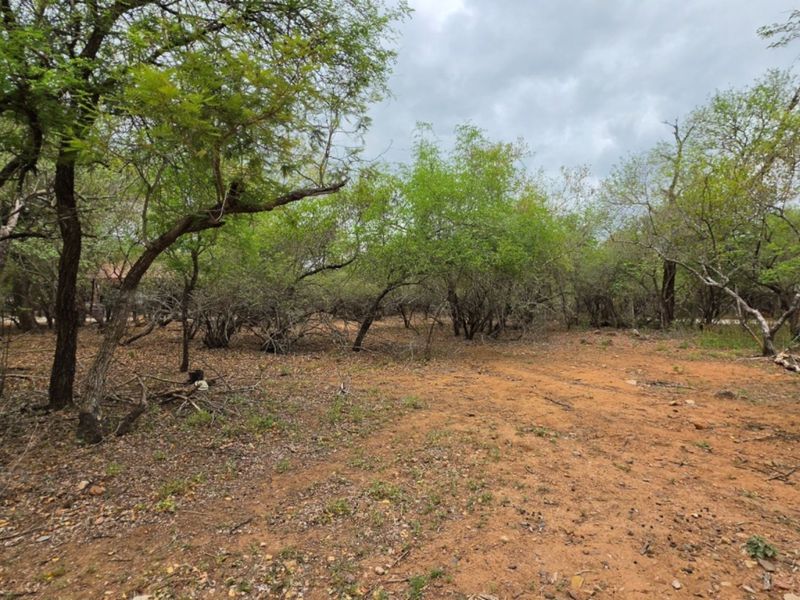 A view of a vacant residential plot featuring natural vegetation and mature trees, offering a blank canvas for future development.