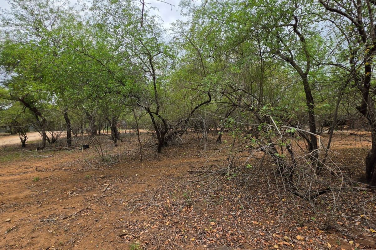 A view of the vacant residential land featuring mature trees and natural ground cover.