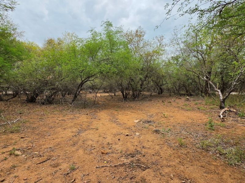 A view of the vacant residential land featuring natural vegetation and cleared ground, suitable for future development.