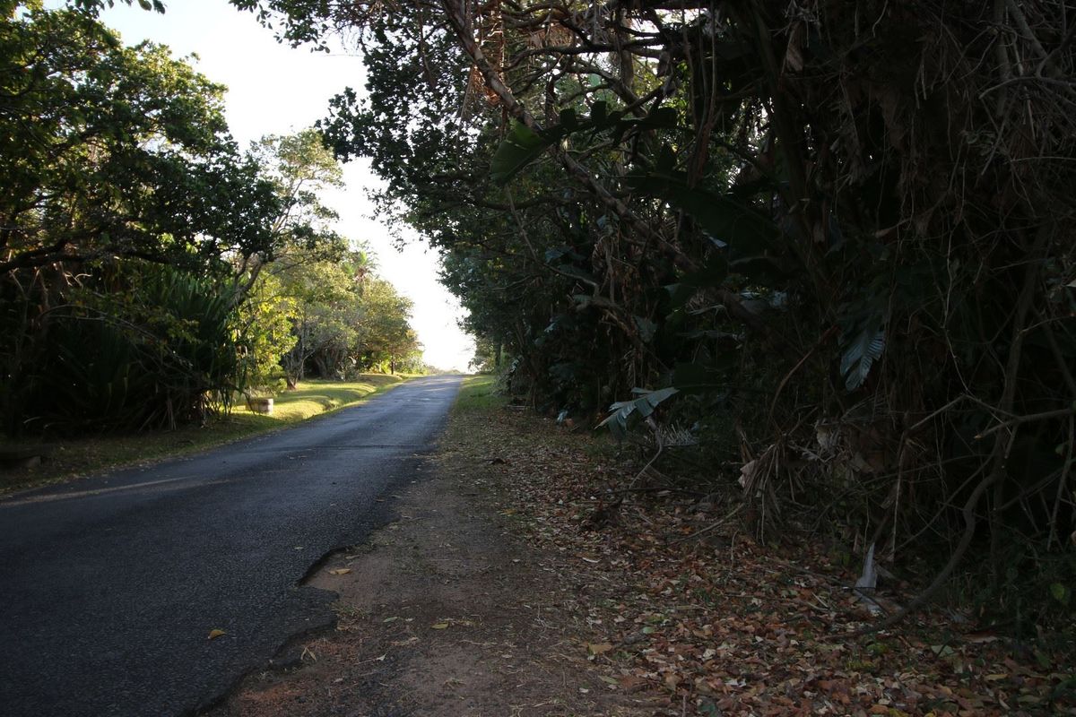 Level land very close to main Pennington beach - Photo 4