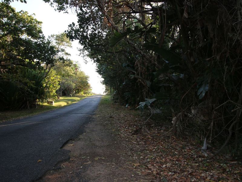 Level land very close to main Pennington beach - Photo 4