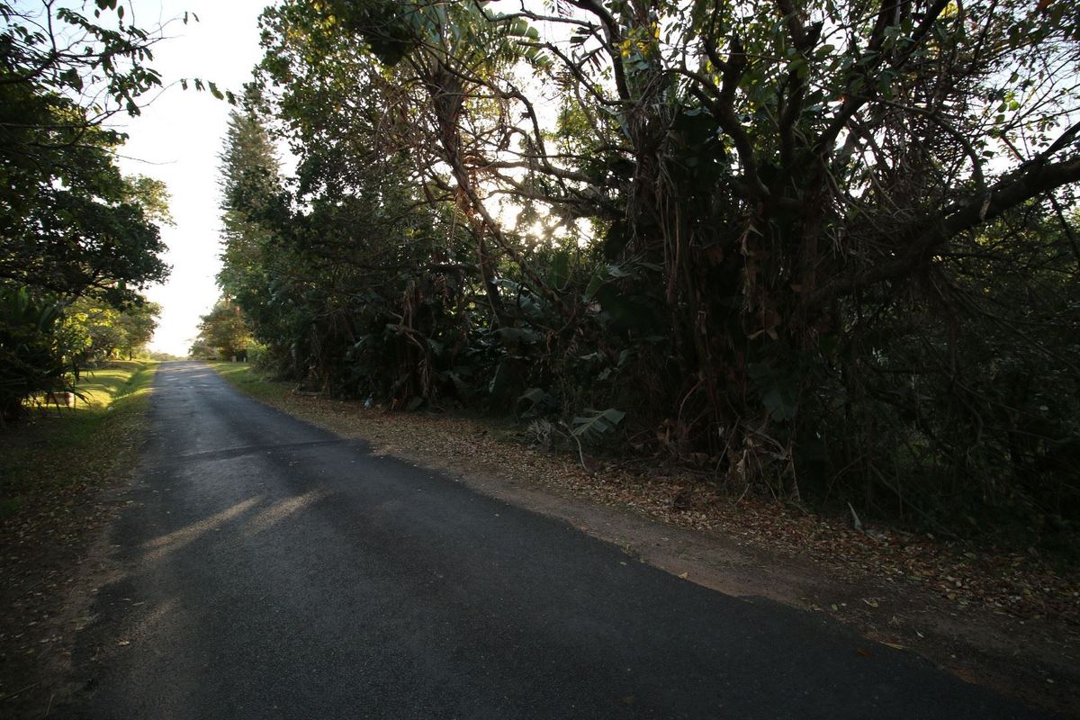 Level land very close to main Pennington beach - Photo 5