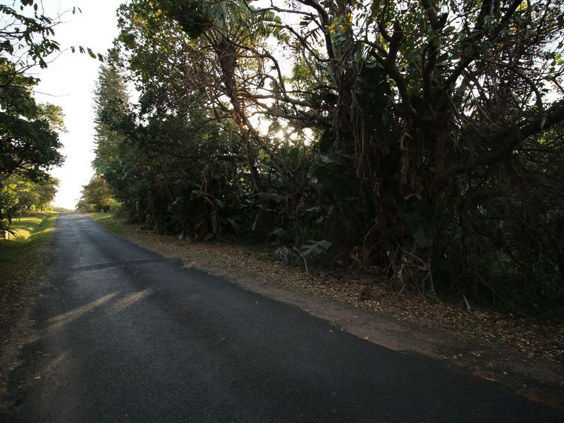 Level land very close to main Pennington beach - Photo 5