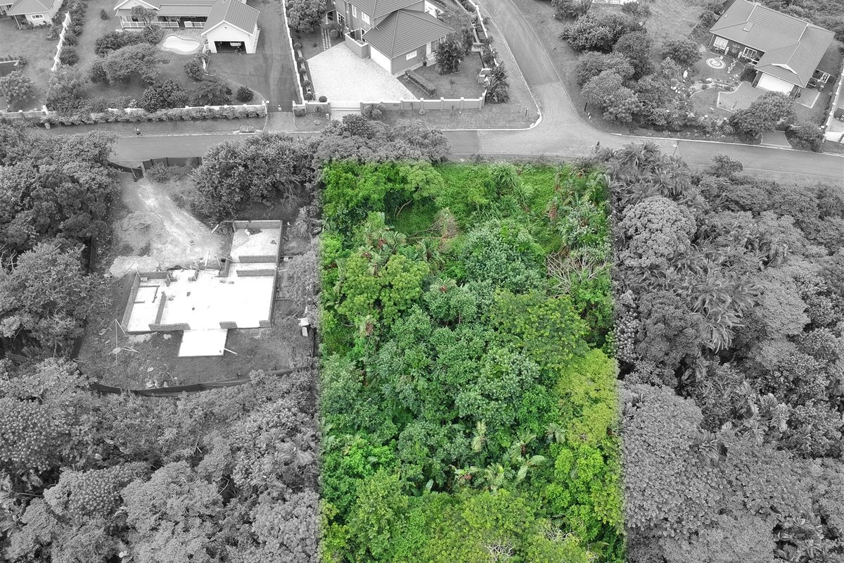 An aerial view of a vacant residential plot highlighted in green, surrounded by established trees and nearby residential properties.