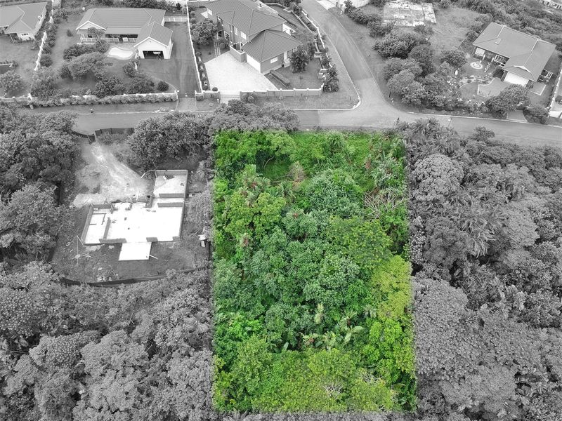 An aerial view of a vacant residential plot highlighted in green, surrounded by established trees and nearby residential properties.