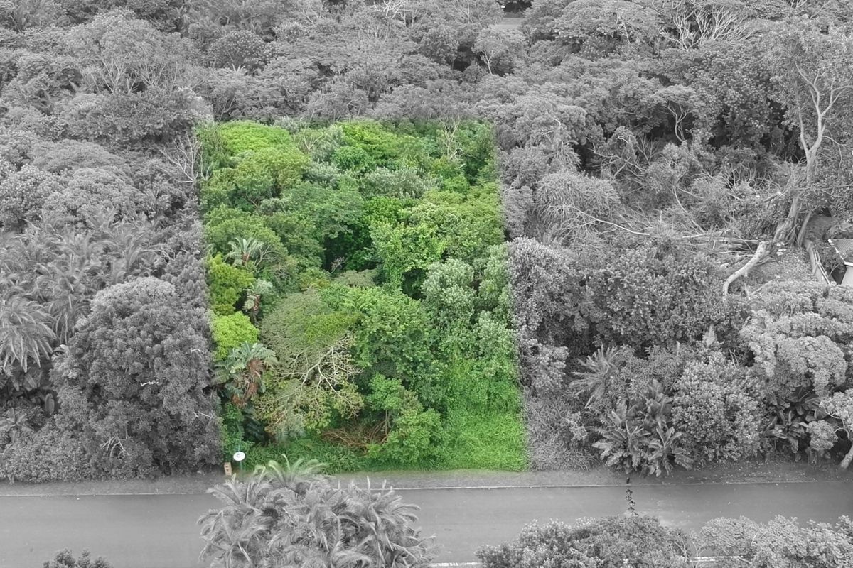 An aerial view of a vacant residential plot densely covered with mature trees and natural vegetation.