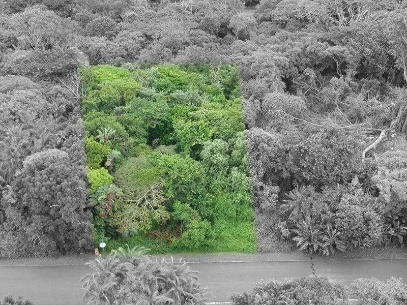 An aerial view of a vacant residential plot densely covered with mature trees and natural vegetation.