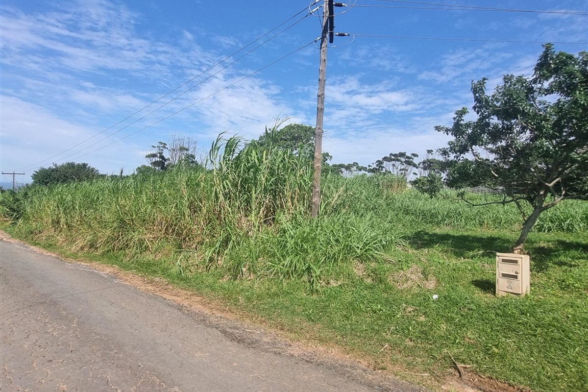 Unlimited Potential - Photo 5