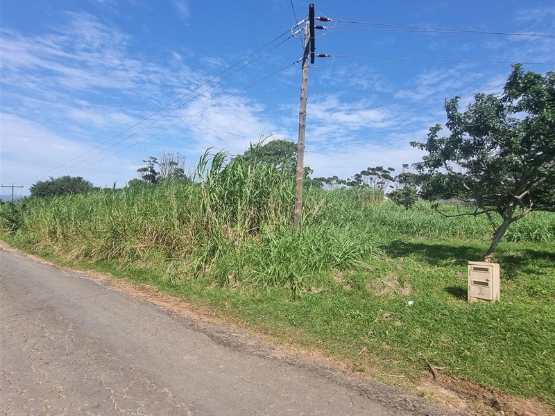 Unlimited Potential - Photo 5