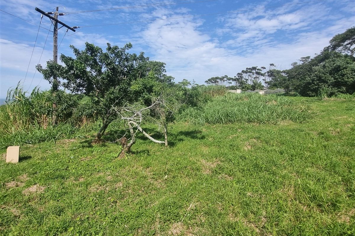 Unlimited Potential - Photo 4