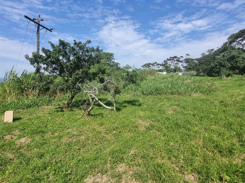 Unlimited Potential - Photo 4