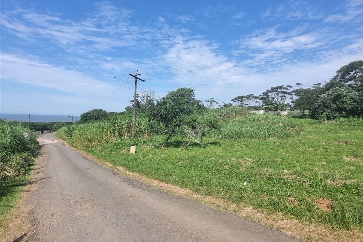 Unlimited Potential - Photo 2