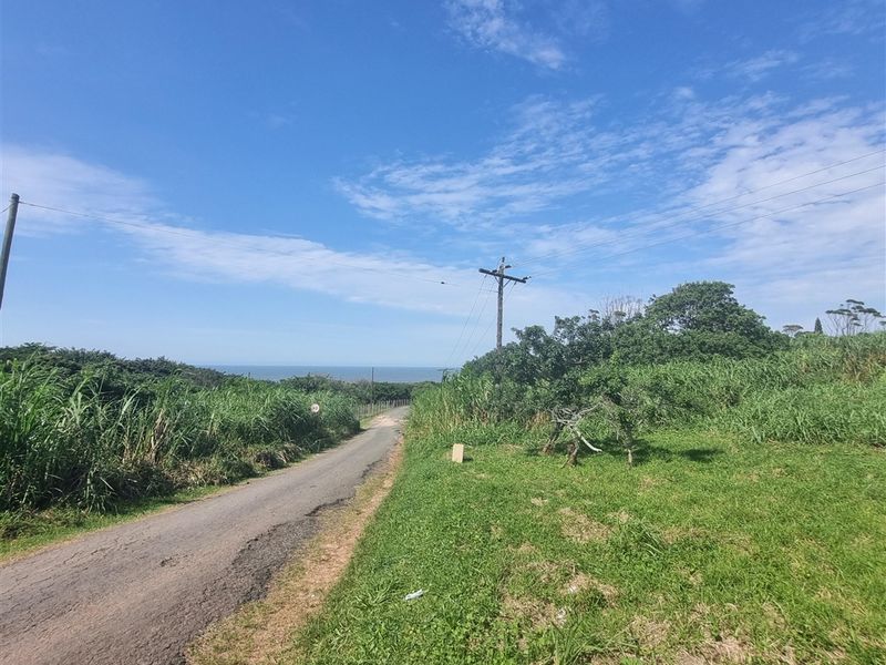 Unlimited Potential - Photo 6