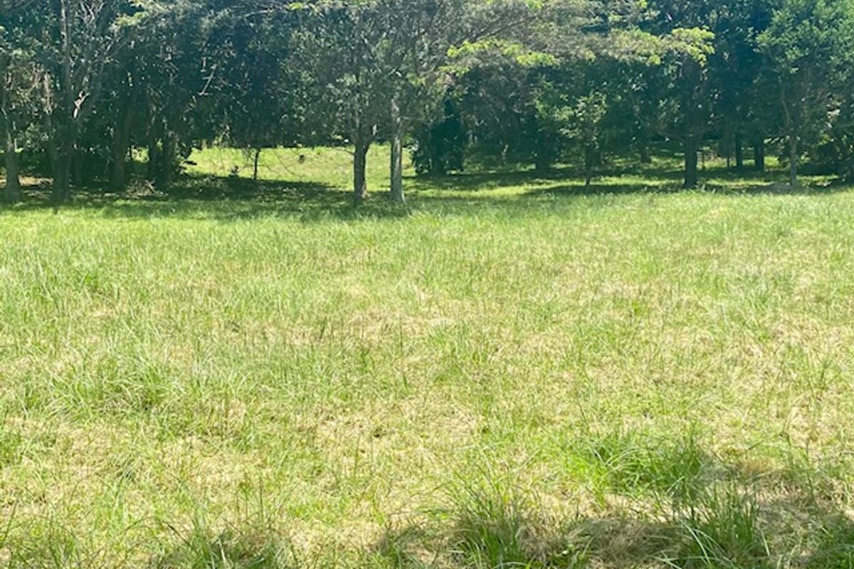 Build your dream house in the sought after eco-estate - Photo 4