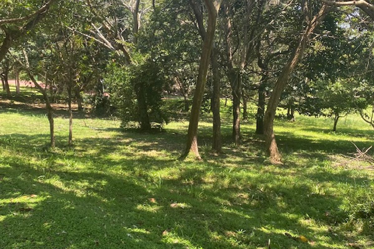 Build your dream house in the sought after eco-estate - Photo 5