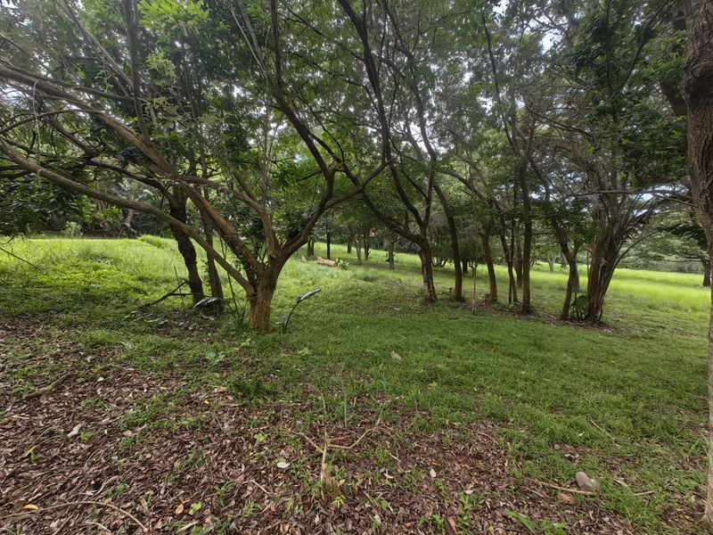 Build your dream house in the sought after eco-estate - Photo 7