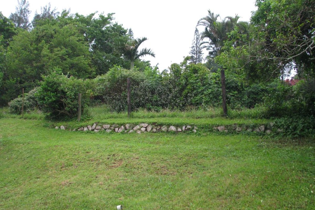 A view of a residential plot featuring a grass lawn, established trees, and a low stone retaining wall with wooden fence posts.