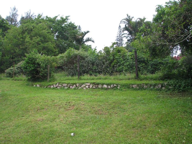 A view of a residential plot featuring a grass lawn, established trees, and a low stone retaining wall with wooden fence posts.
