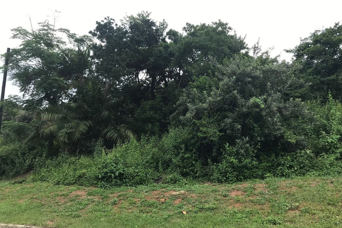 Perfect for a Home of your dreams in a Peaceful environment. - Photo 2