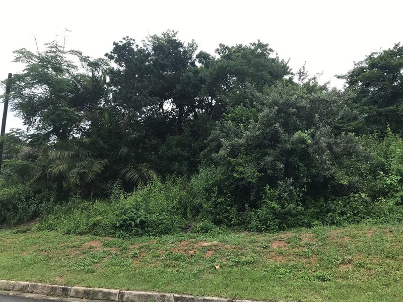 Perfect for a Home of your dreams in a Peaceful environment. - Photo 2