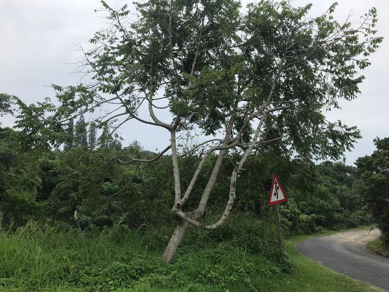 Perfect for a Home of your dreams in a Peaceful environment. - Photo 3