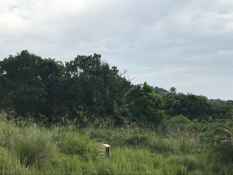 Perfect for a Home of your dreams in a Peaceful environment. - Photo 7