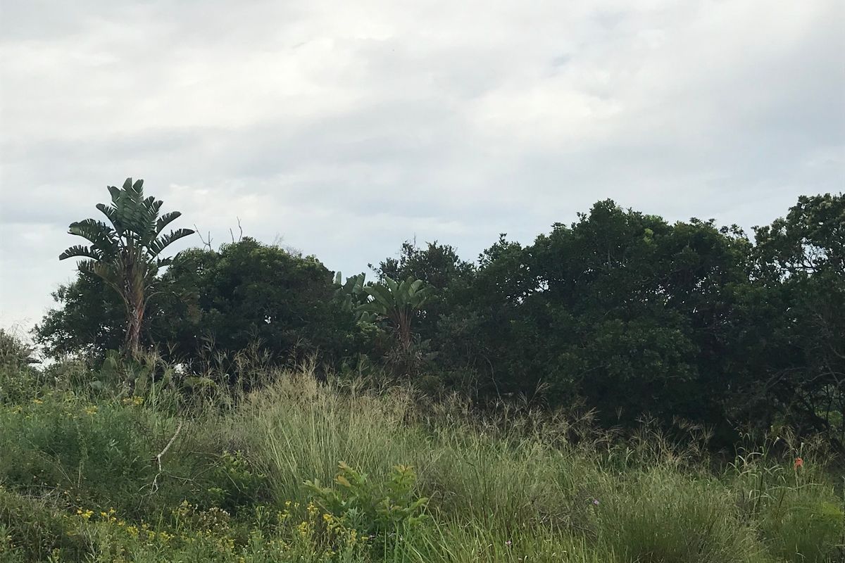 Perfect for a Home of your dreams in a Peaceful environment. - Photo 5