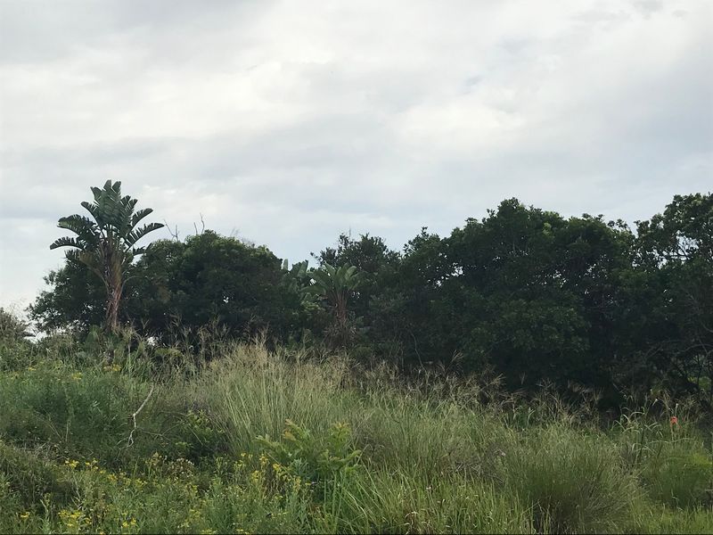 Perfect for a Home of your dreams in a Peaceful environment. - Photo 5