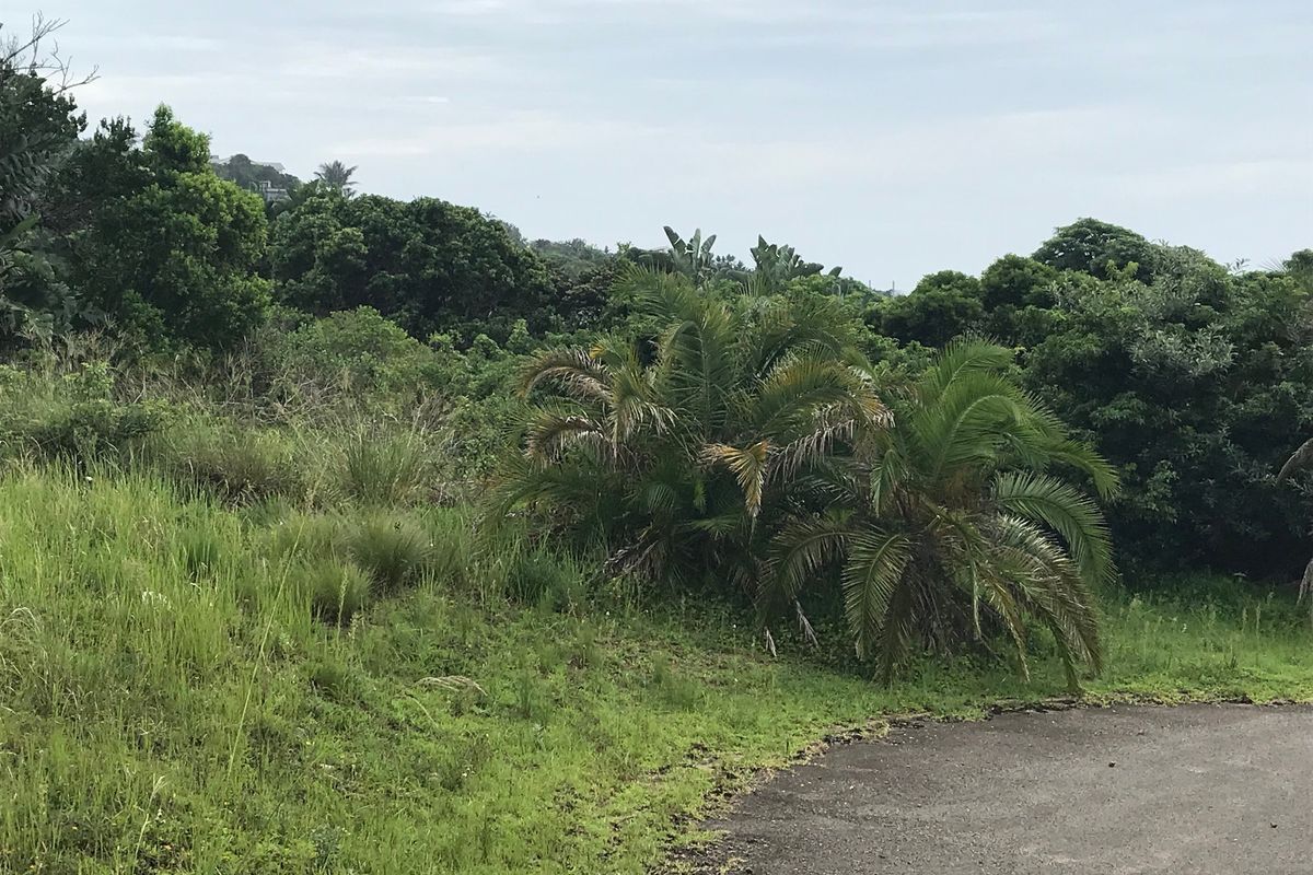 Perfect for a Home of your dreams in a Peaceful environment. - Photo 4