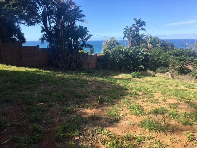 A vacant residential plot featuring established greenery and a scenic ocean view, enclosed by a boundary fence.