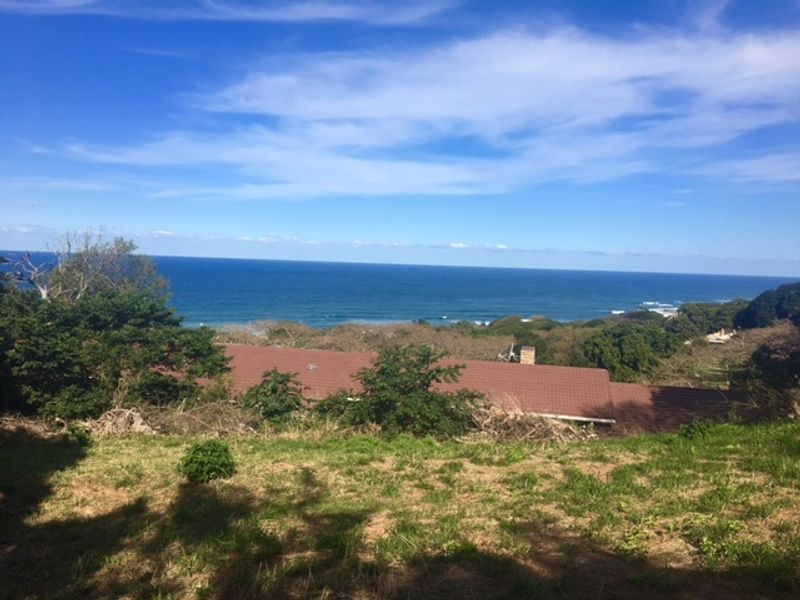 A scenic elevated view overlooking the coastline and ocean, showcasing the natural landscape and surrounding vegetation.