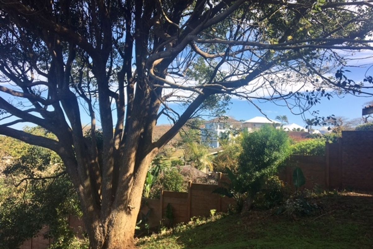 A view of a residential garden featuring mature trees and a brick boundary wall with surrounding neighborhood landscape.