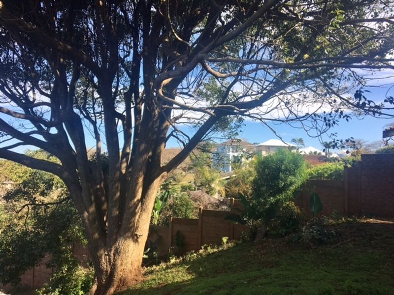 A view of a residential garden featuring mature trees and a brick boundary wall with surrounding neighborhood landscape.