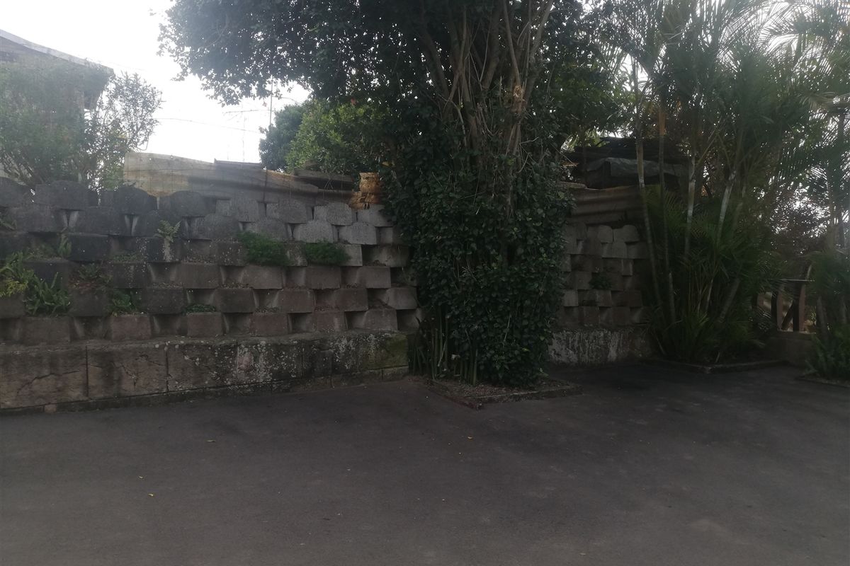 A view of a weathered concrete block retaining wall and mature trees bordering an asphalt driveway area.