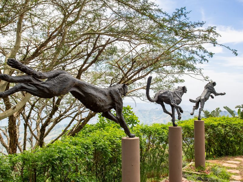 Phezulu Estate Stunner with 1000 Hills Valley Views - Photo 9